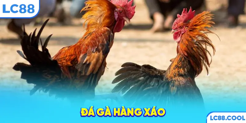 Đá gà hàng xáo