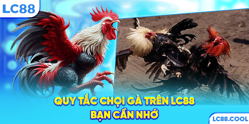Quy tắc chọi gà trên LC88 bạn cần nhớ