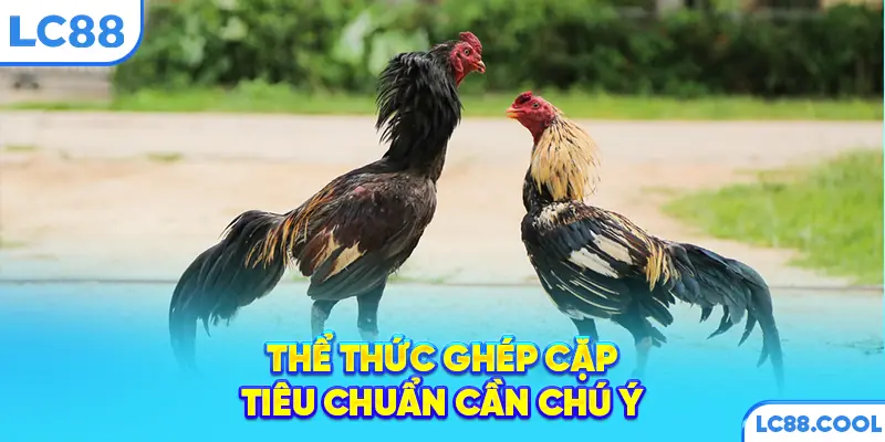 Thể thức ghép cặp tiêu chuẩn cần chú ý